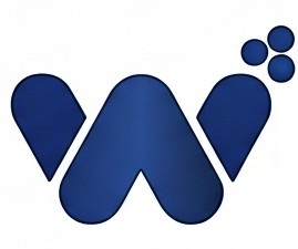 Logo 31